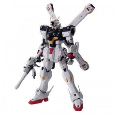 Bandai Hobby Crossbone Gundam  X-1 Ver. Ka MG 1/100 Model Kit