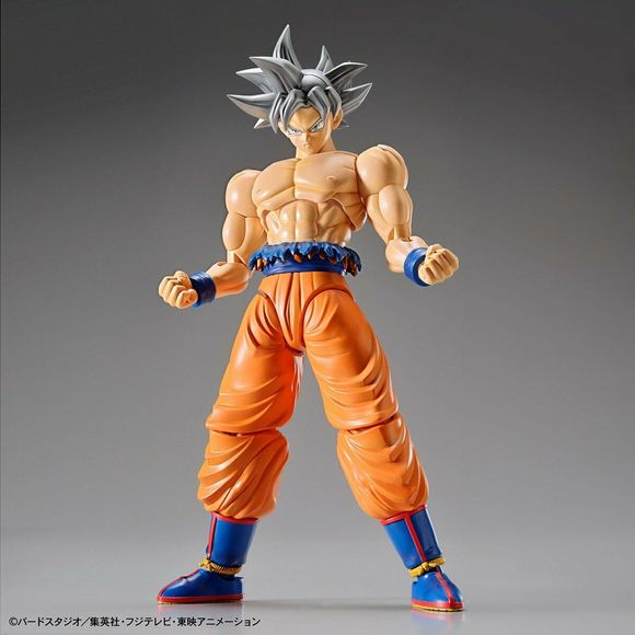 Goku's most powerful state, Ultra Instinct, joints Figure-rise Standard!  His extremely muscular body under his Gi has been faithfully recreated along with the shredded uniform that flaps above his waist belt.  The iconic silver hair and face are molded in multiple sections of plastic that reduce the need for painting but still allow for a sharp sculpt.  Includes multiple hand parts, interchangeable faces such as the clenched teeth expression in his fight with Jiren, and Kamehameha effect parts.  Runner x7,