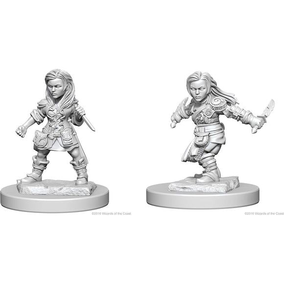 Dungeons & Dragons Nolzur’s Marvelous Miniatures come with highly-detailed figures, pre-primed with Acrylicos Vallejo primer and includes deep cuts for easier painting. The packaging of each different set will display the minis in a visible format.