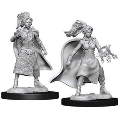 Dungeons & Dragons Nolzur’s Marvelous Miniatures come with highly detailed figures, primed and ready to paint out of the box. These fantastic miniatures include deep cuts for easier painting. The packaging displays these miniatures in a clear and visible format, so customers know exactly what they are getting. This is a 2-count character pack which includes a low-level and high-level miniature of the same character.