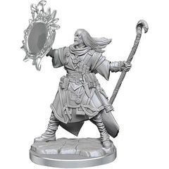 athfinder Legendary Cuts miniatures are highly-detailed, customizable figures, created with more experienced hobby painters in mind. These miniatures are supplied unassembled and unprimed, and provide multiple options for building the figure, as well as mixing and matching parts across different miniatures in the Legendary Cuts line. Key Features: Features characters, monsters, and scenery from the Pathfinder universe. Made of High-Impact Polystyrene (HIPS). Assembly required. Does not include glue or prime