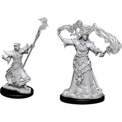 Pathfinder Battles Deep Cuts come with highly detailed figures, primed and ready to paint out of the box. These fantastic miniatures include deep cuts for easier painting. The packaging displays these miniatures in a clear and visible format, so customers know exactly what they are getting.